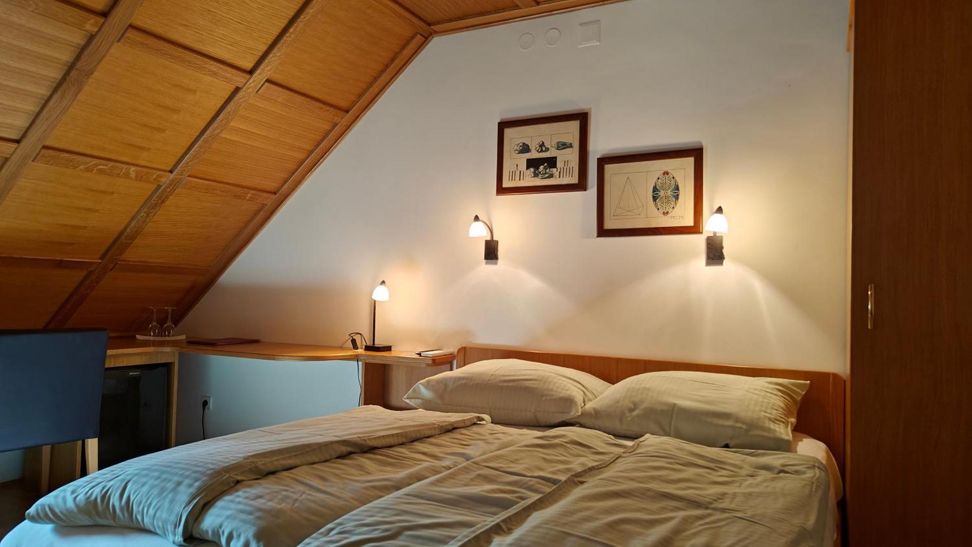 Guesthouse Pri Zalogarju Zelezniki Buitenkant foto